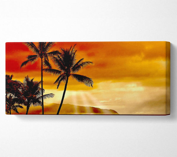 Sunset In The Tropics