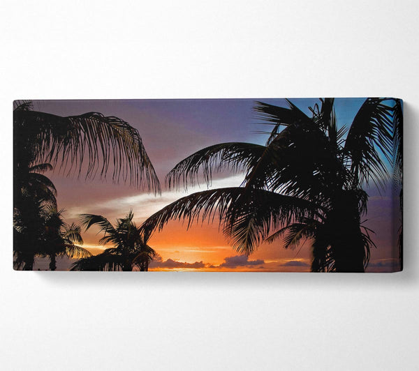 Palm Trees On The Beach Sunset