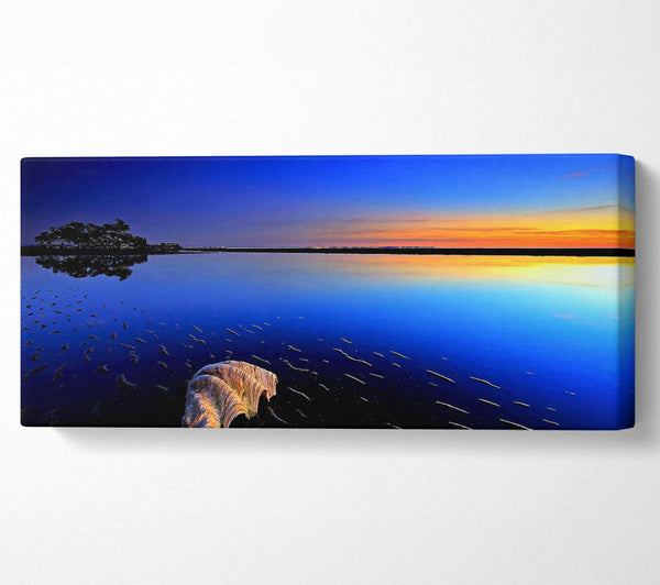 Shell On The Deep Blue Ocean