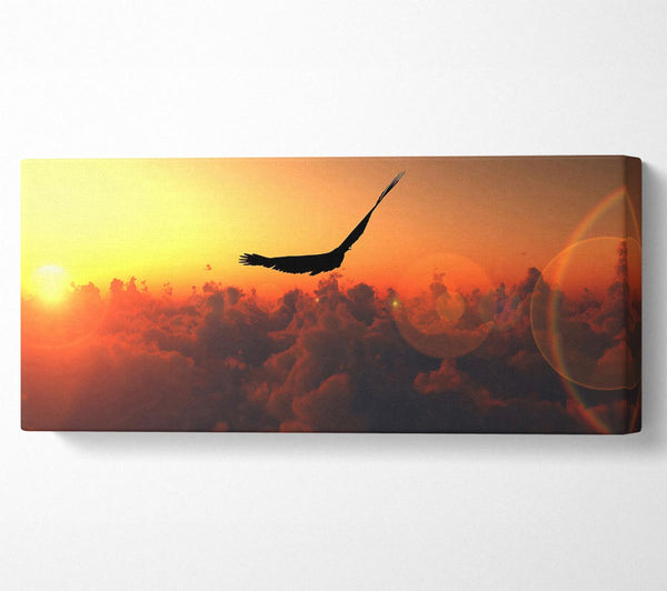 Eagle Flying In The Burnt Orange Sky