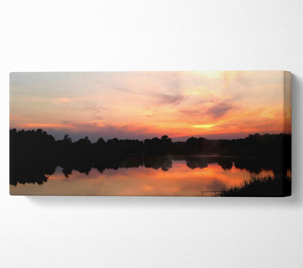 Sunset Tree Reflections