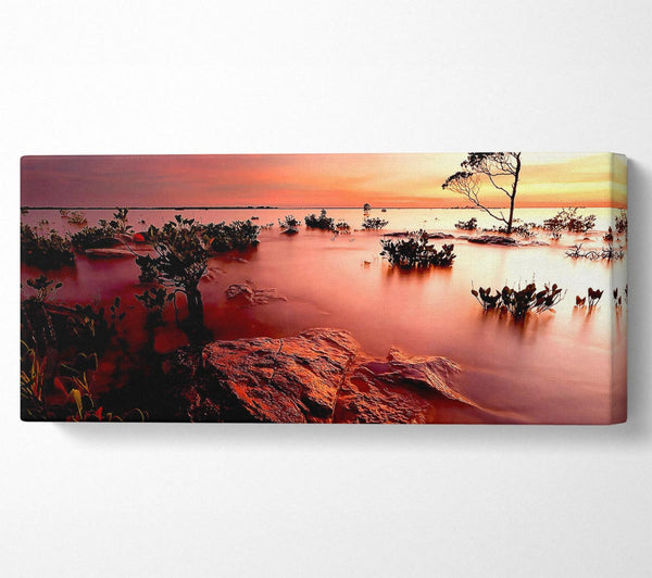 Tranquil Pink Ocean Trees