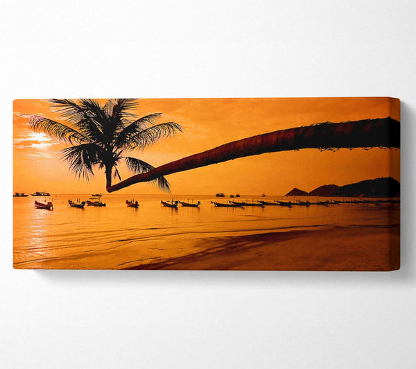 Paradise Island Boats
