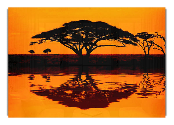 Afrikanische Baumreflexion
