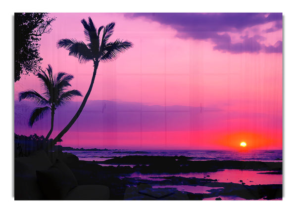 Blaze Of The Palmtree Sun