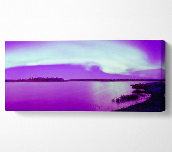 Purple Northern Lights