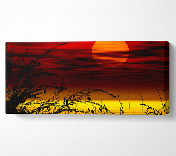 Surreal Golden Lake