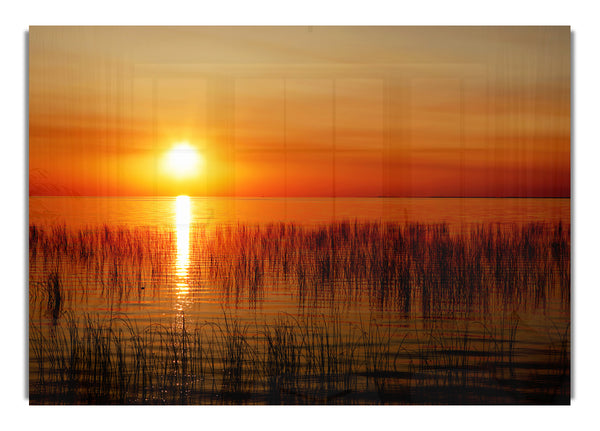 Sonnenuntergang über dem Schilf des Ozeans