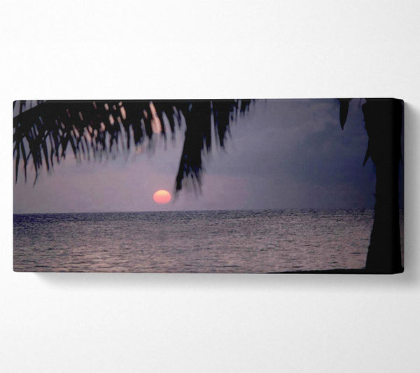 Pink Sun Sunset