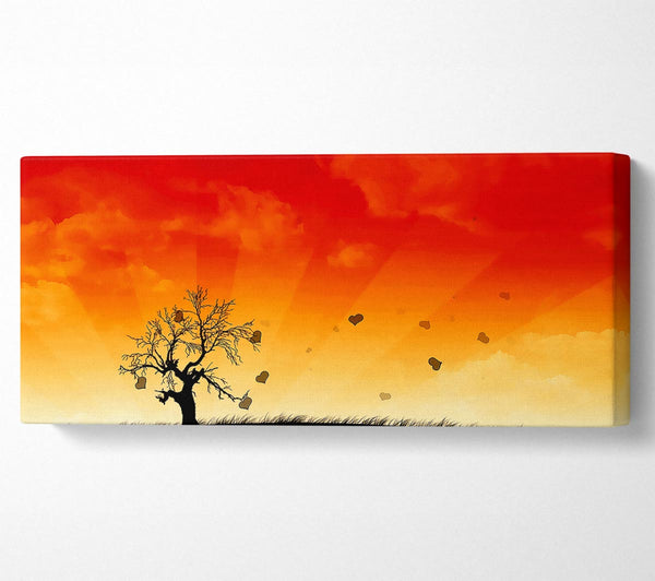 Sun Blaze Tree