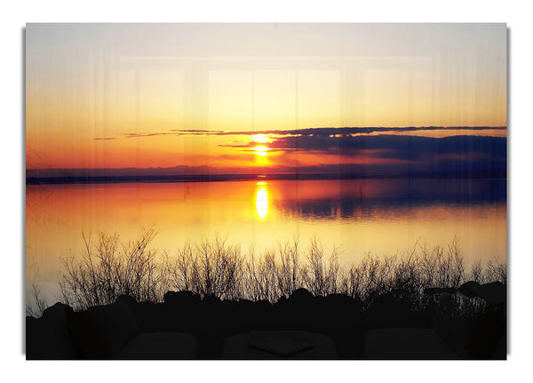 Reflections Of The Lake