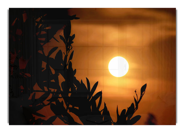 Caramel Sun Seascape Canvasb