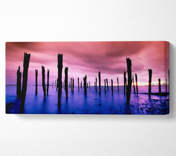 Purple Oceans Pink Skies