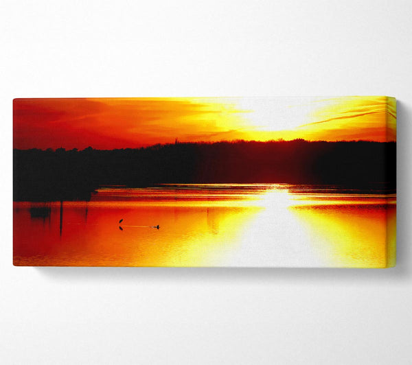 Sunlight Reflections
