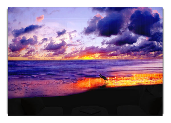 Blazing Ocean Sunset