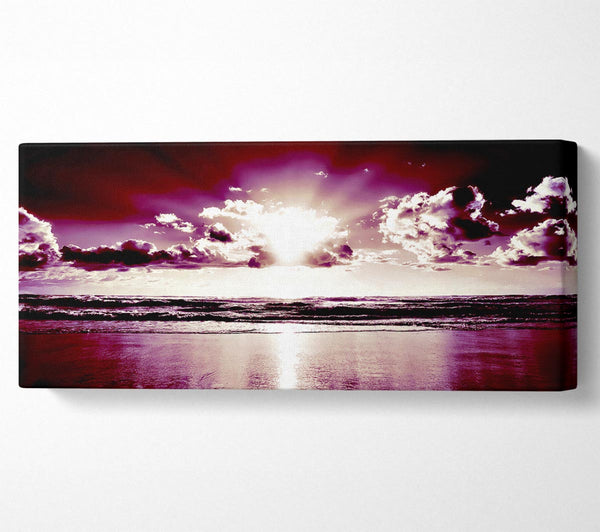 Purple Sunburst