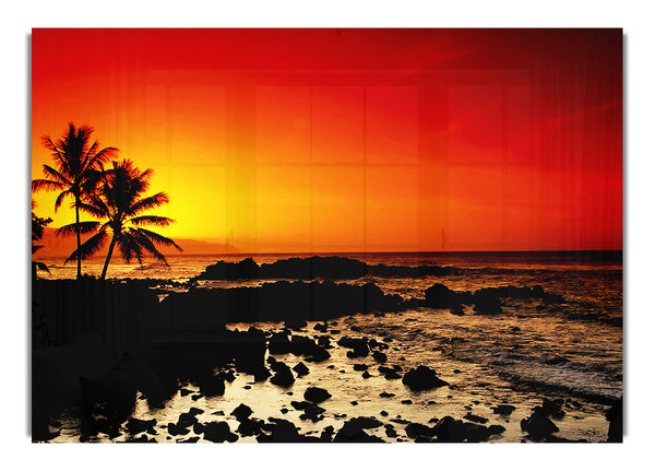 Stunning Palm Tree Ocean Rocks