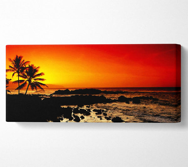 Stunning Palm Tree Ocean Rocks