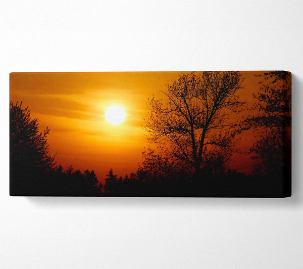 Orange Sunset Over Trees