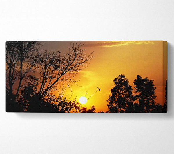 Sunset Skies