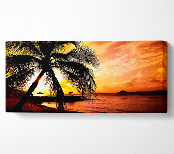 Palm Tree Paradise
