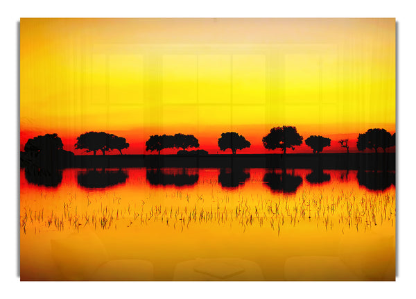 Reflections Of The Sunset Trees Golden