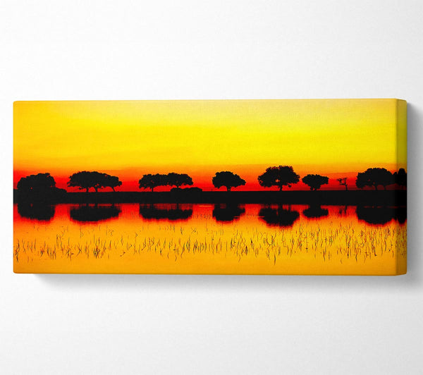 Reflections Of The Sunset Trees Golden