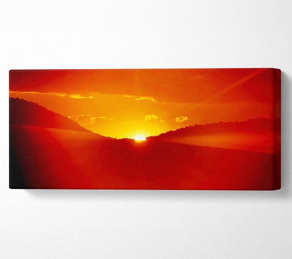 Stunning Orange Sun Blaze