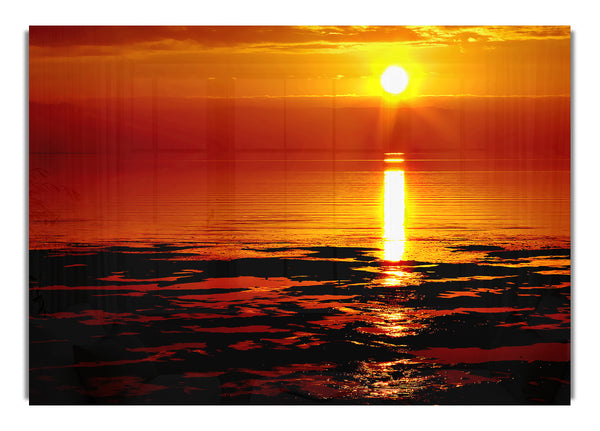Lapping Waves In Golden Sunlight