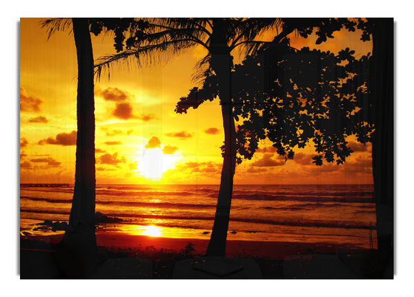 Sun Reflections Over The Beach