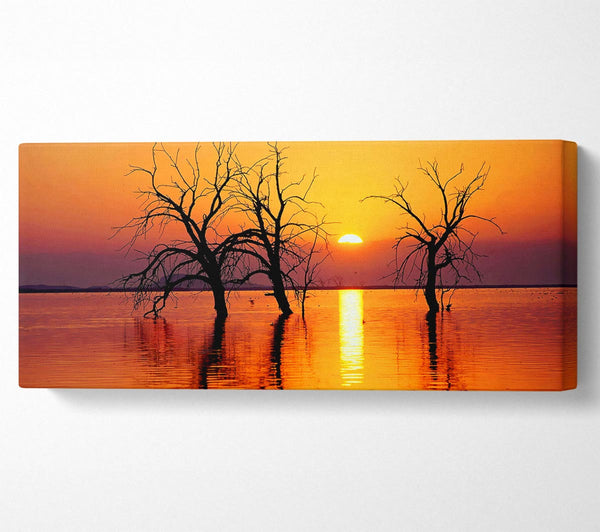 Trees In The Ocean
