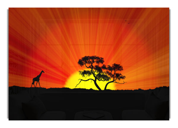 Afrikanischer Sonnenbrand