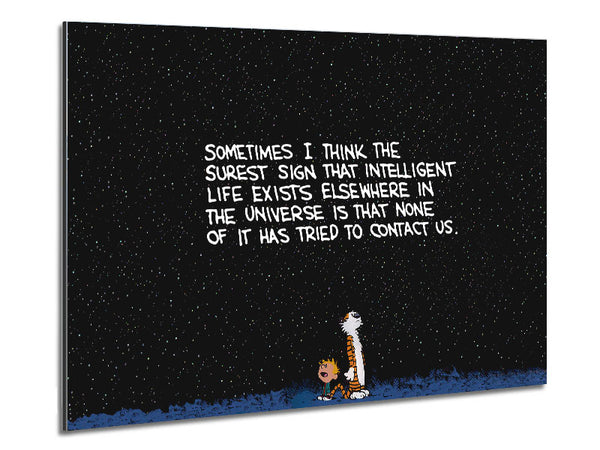 Funny Quote Sometimes I Think The Surest Sign Metal Print