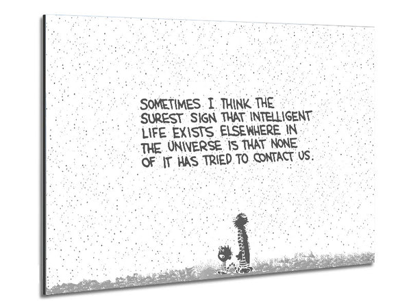 Funny Quote Sometimes I Think The Surest Sign Grey Metal Print