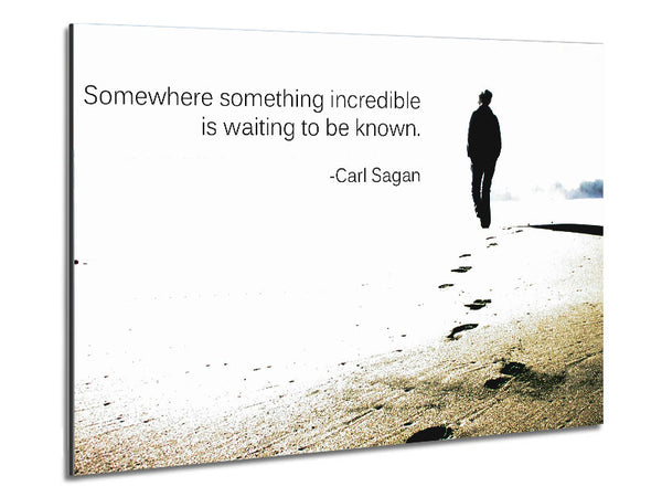 Motivational Quote Carl Sagan Somewhere Something Metal Print