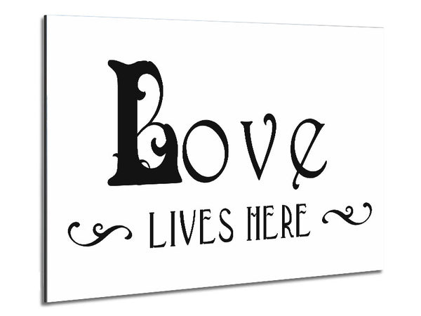 Love Quote Love Lives Here Vines Metal Print