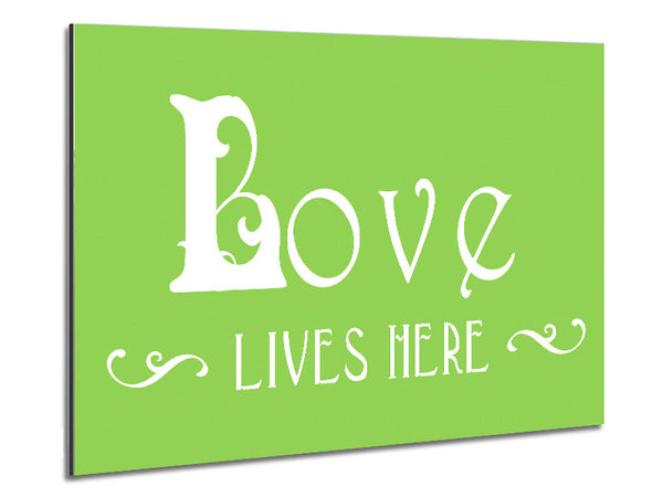 Love Quote Love Lives Here Vines Lime Green Metal Print