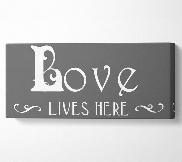 Love Quote Love Lives Here Vines Grey