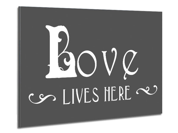 Love Quote Love Lives Here Vines Grey Metal Print