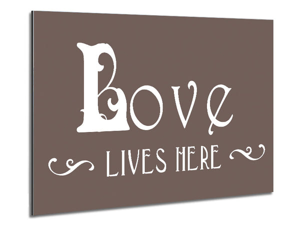 Love Quote Love Lives Here Vines Beige Metal Print