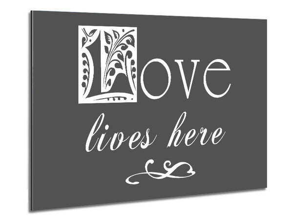 Love Quote Love Lives Here Grey Metal Print