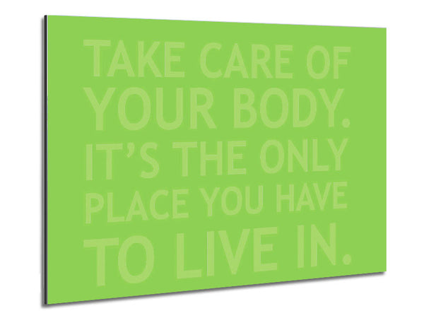 Take Care Of Your Body Lime Green Metal Print