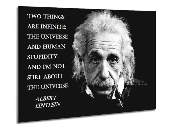 Motivational Quote Albert Einstein The Universe Metal Print