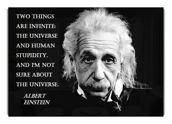 Albert Einstein Das Universum