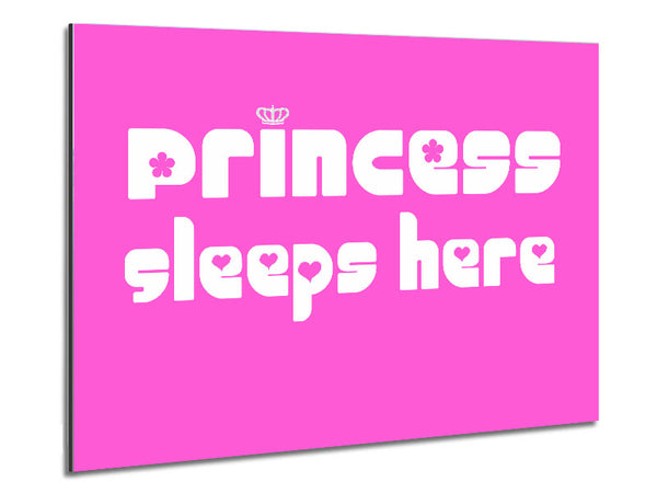 Princess sleeps 2 Vivid Pink Metal Print