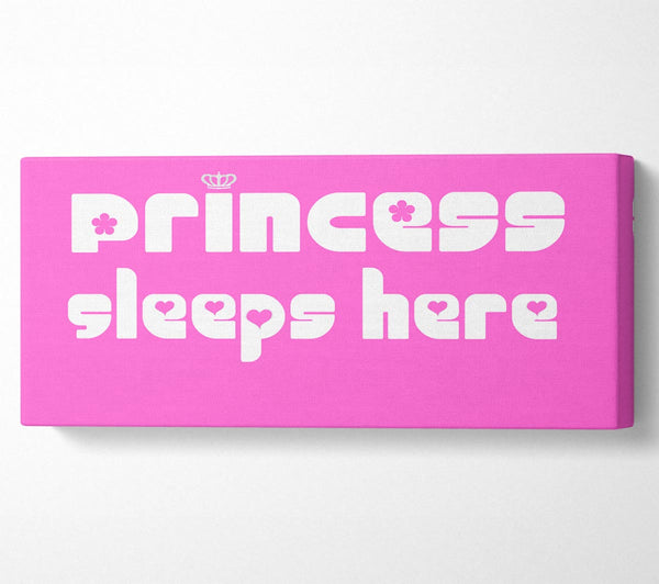Princess sleeps 2 Vivid Pink