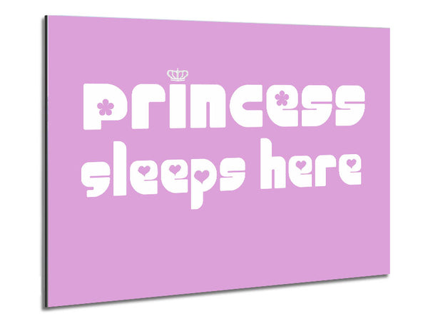 Nursery Quote Princess sleeps 2 Pink Metal Print