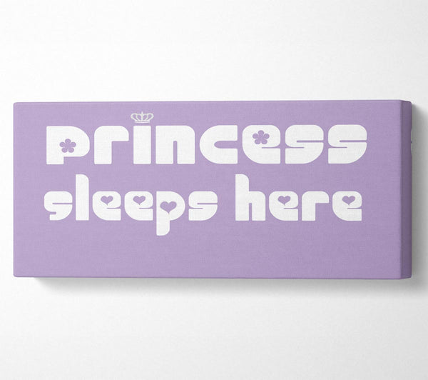Princess sleeps 2 Lilac