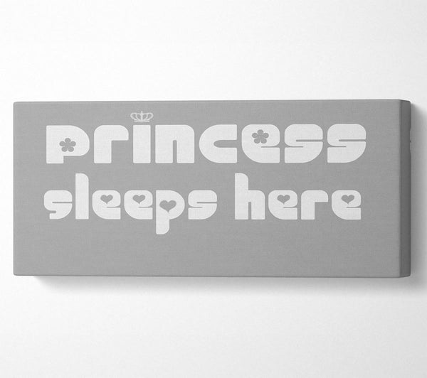 Princess sleeps 2 Grey White