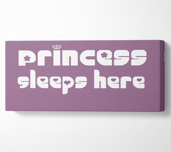 Princess sleeps 2 Dusty Pink